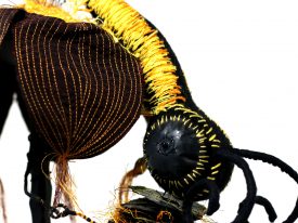 Beetrice
